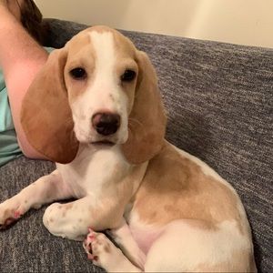 Meet your Posher, Molly